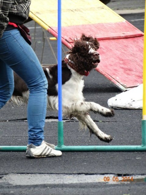 194947-6574f-78491178-m750x740-u3fbc3.jp