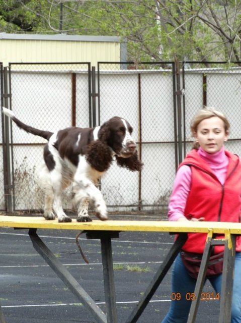 194947-f788c-78491176-m750x740-u75423.jp